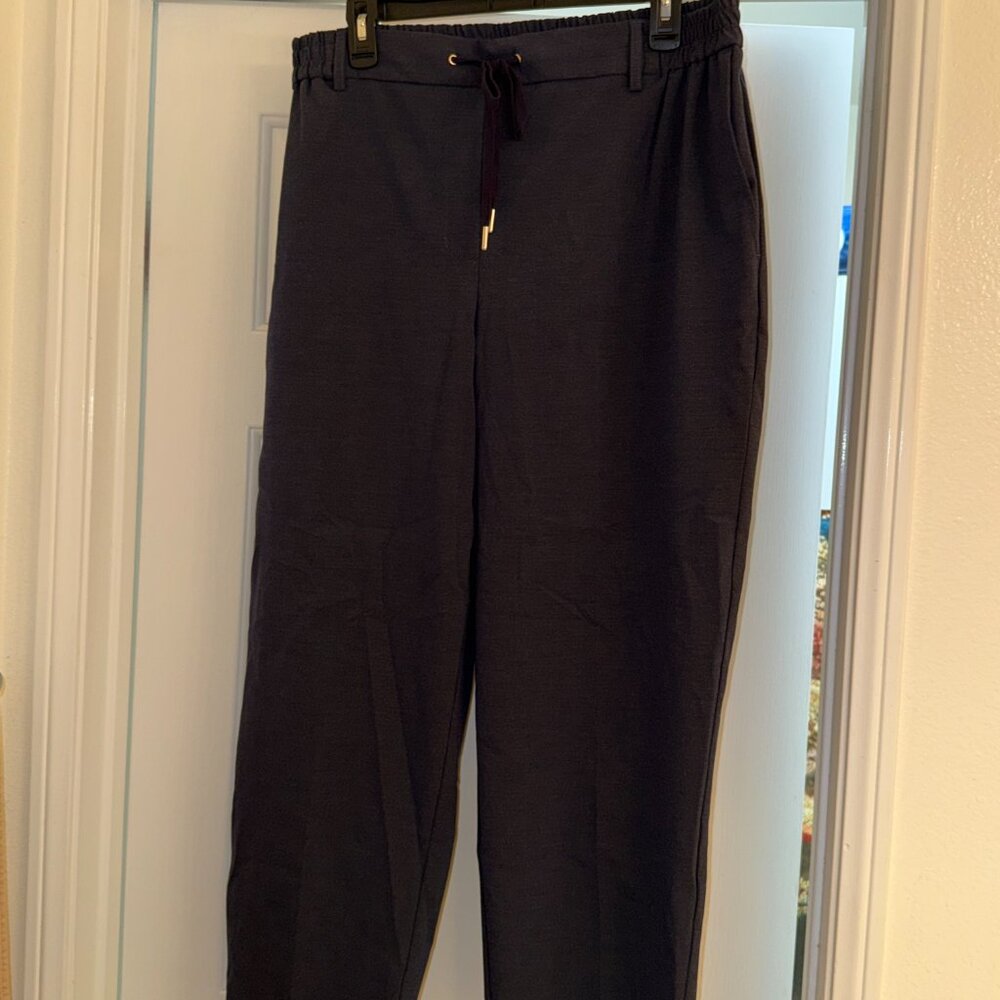 Rachel Zoe Navy Pull-On Dress Pants Plus Size 1X Elastic Waist Career Trousers